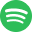 Spotify Icon